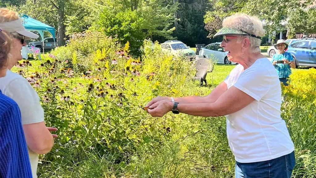 volunteer showing butterflies to a group