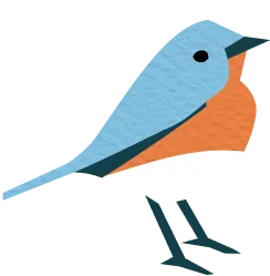 Eastern Bluebird illustration